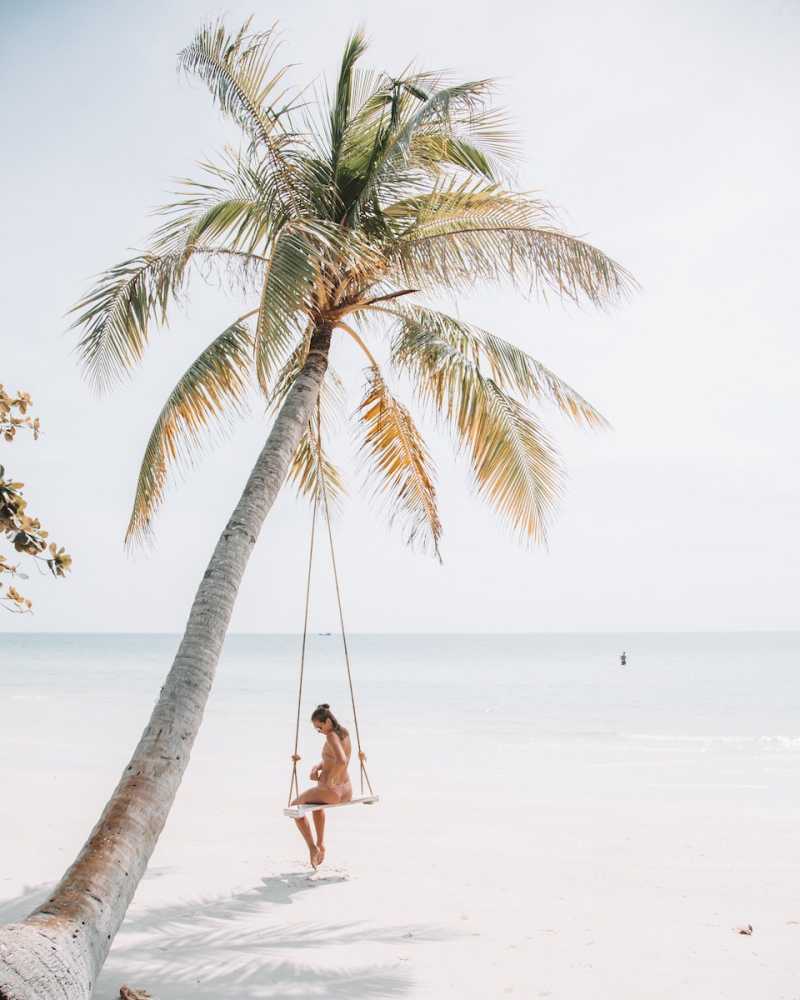 Tropical paradise